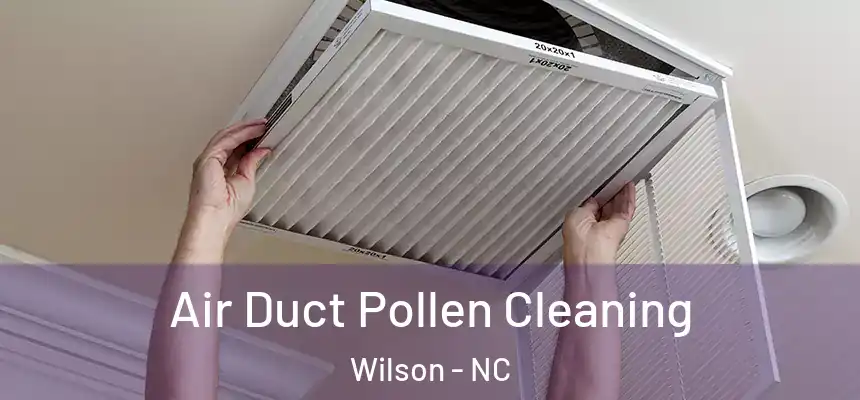  Air Duct Pollen Cleaning Wilson - NC