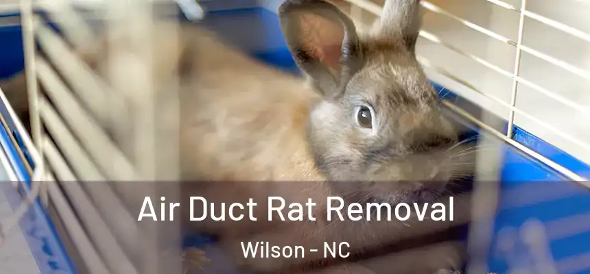  Air Duct Rat Removal Wilson - NC