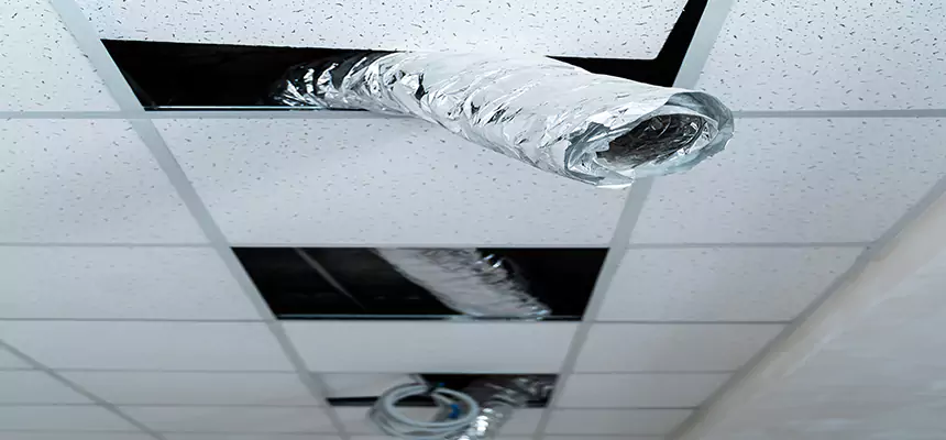 Our Air Duct Pet Hair Removal Services in Wilson, NC