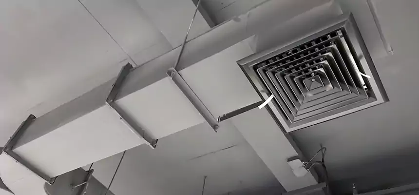 Restorative Allergy Relief Vent Cleaning – Coil, Blower & Housing Detail in Wilson