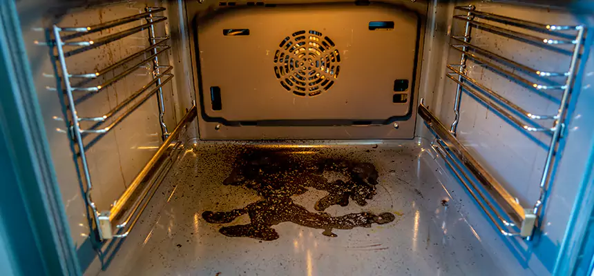 Our Dryer Vent Mold Cleaning Services in Wilson, NC