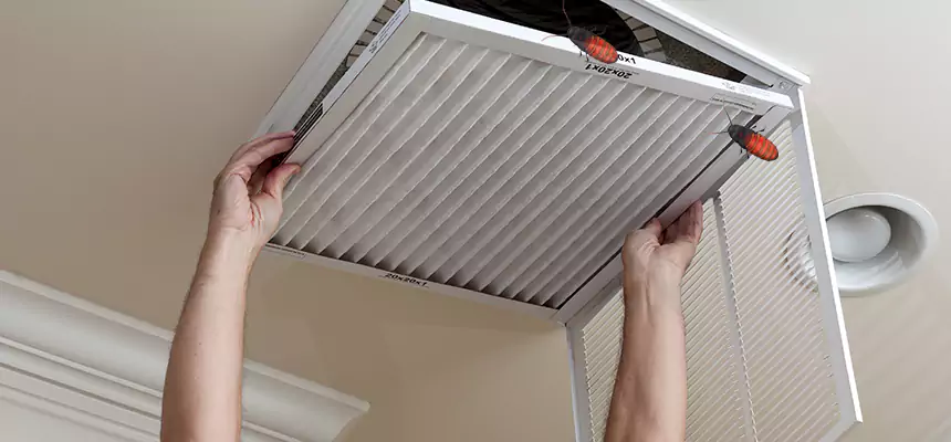 Our Insect Removal from Air Ducts Services in Wilson, NC