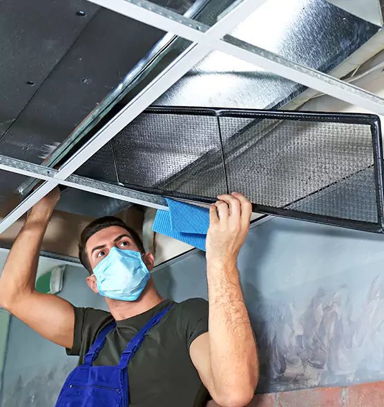 Professional Air Duct Pollen Cleaning in Wilson, NC