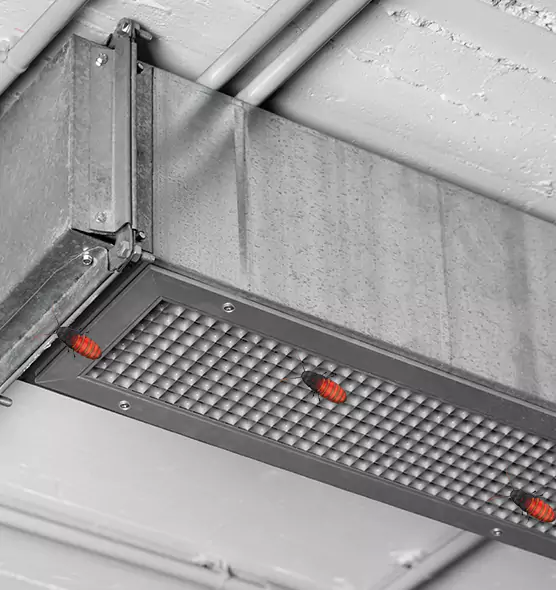 Affordable Insect Removal from Air Ducts in Wilson, NC