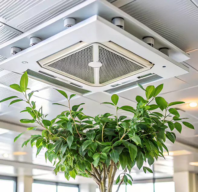 Why Homeowners & Businesses Trust Us in Wilson, NC