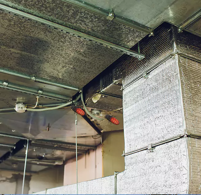 Why Homeowners & Businesses Trust Us Wilson, NC?